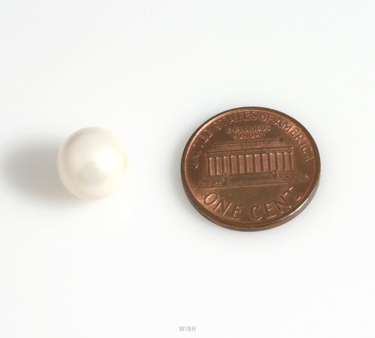 Half Drilled Mother of Pearl, 10mm Round Mother of Pearl, Round Pearl / PLWHM-01
