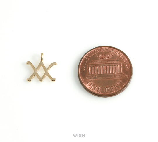 Aquarius Zodiac Sign Pendants in Gold, Zodiac Charm / MG-453-AQ