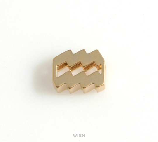 Aquarius Zodiac Sign Charm in Matte Gold, Zodiac Beads / MMG-599-B