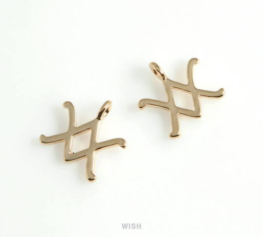 Aquarius Zodiac Sign Pendants in Gold, Zodiac Charm / MG-453-AQ