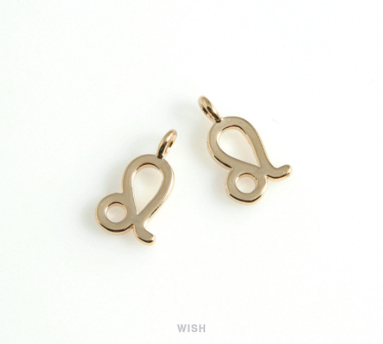 Leo Zodiac Sign Pendants in Gold, Zodiac Charm /  MG-453-LE