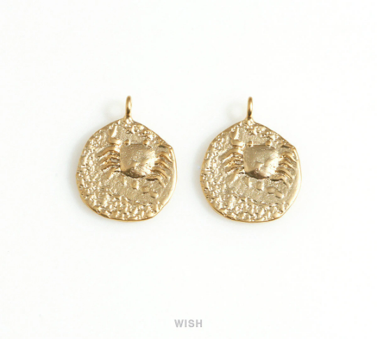 Crab on Hammered Circle Charm in Matte Rhodium, Cancer on Circle Pendant / MMRH-676-P