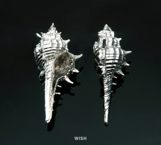 Seashell Pendant in Matte Gold, Seashell Charm / MMG-213-P