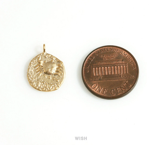 Crab on Hammered Circle Charm in Matte Rhodium, Cancer on Circle Pendant / MMRH-676-P