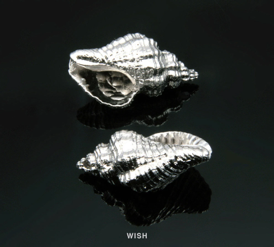 Seashell Pendant in Matte Gold, Seashell Necklace Charm / MMG-214-P