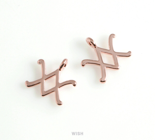 Aquarius Zodiac Sign Pendants in Gold, Zodiac Charm / MG-453-AQ