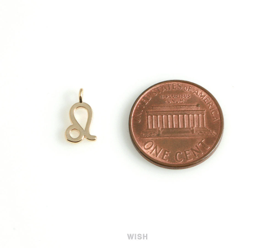 Leo Zodiac Sign Pendants in Rose Gold, Zodiac Charm / MRG-453-LE